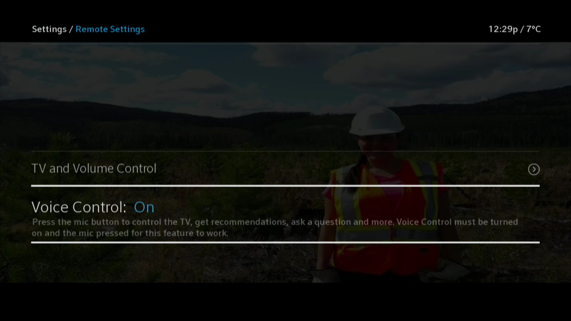 BlueCurve TV Remote Settings > Voice Control On